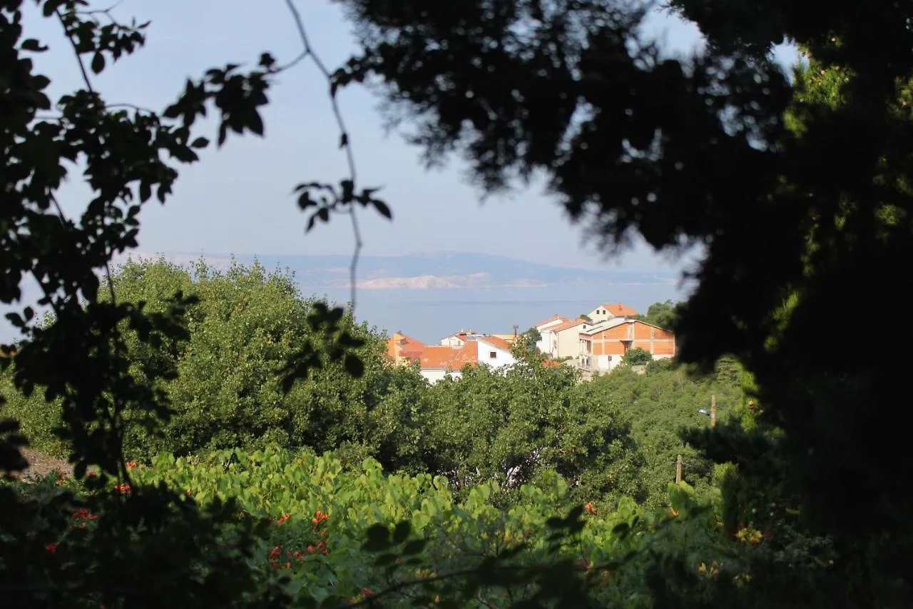 Apartments And Rooms With Parking Space Klenovica, Novi Vinodolski - 5590 Guest house Klenovica